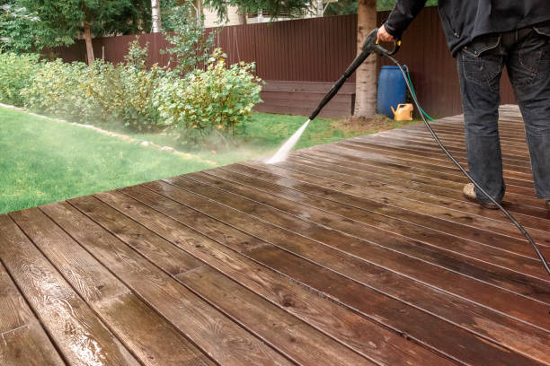 Best Roof Washing  in Traverse City, MI